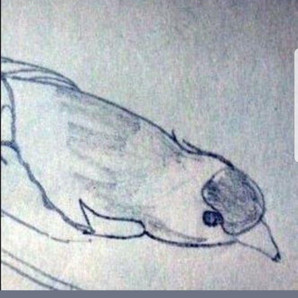 Clothing, Footwear, Accessories - Picture 6 of 6